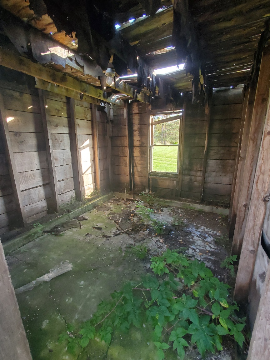 Cryptic Pictures – Cryptic Corner